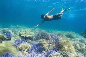 Lombok: Pink Beach, Gili Petelu & Private Snorkeling Tour