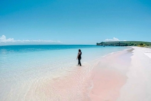 Lombok: Pink Beach, Gili Petelu & Private Snorkeling Tour
