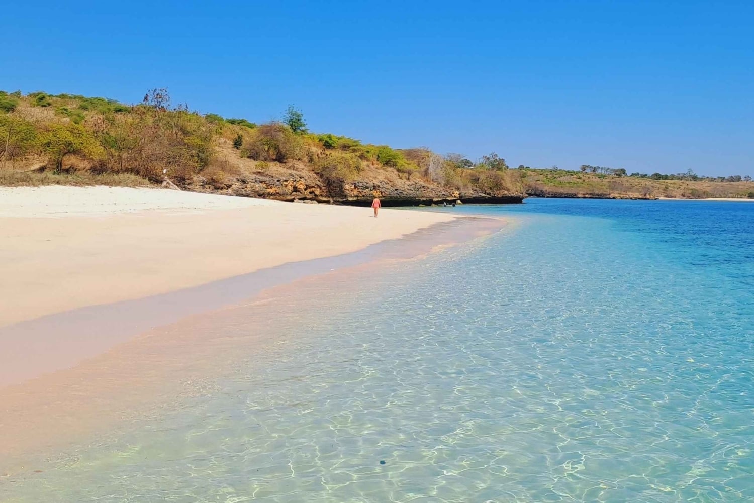 Lombok: Pink Beach, mergulho com snorkel e excursão a Tanjung Ringgit