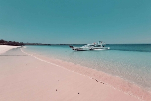 Lombok: Pink Beach, mergulho com snorkel e excursão a Tanjung Ringgit