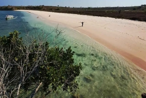 Lombok: Pink Beach, mergulho com snorkel e excursão a Tanjung Ringgit