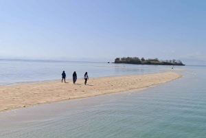 Lombok: Pink Beach, mergulho com snorkel e excursão a Tanjung Ringgit