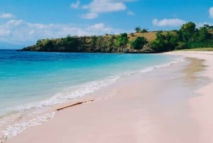 Lombok: Rosa strand, snorkling og Tanjung Ringgit-tur