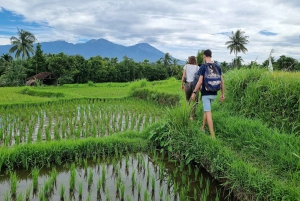 Lombok: Privétour op maat met chauffeur-gids