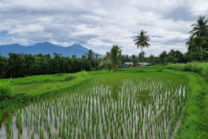 Lombok: Privétour op maat met chauffeur-gids
