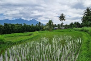 Lombok: Prywatna wycieczka na zamówienie z przewodnikiem-kierowcą