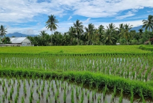 Lombok: Prywatna wycieczka na zamówienie z przewodnikiem-kierowcą