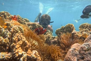 Lombok: tour privato della spiaggia rosa e snorkeling a Gili con GoPro