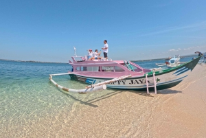 Lombok: tour privato della spiaggia rosa e snorkeling a Gili con GoPro