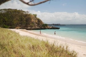 Lombok: Private Pink Beach & Gili Snorkeling Tour with GoPro