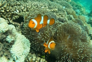 Lombok: Private Pink Beach & Gili Snorkeling Tour with GoPro