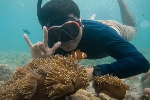 Lombok: Private Pink Beach & Gili Snorkeling Tour with GoPro