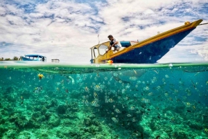 Lombok: Privat snorkling, Gili Trawangan, Gili Meno, Gili Air
