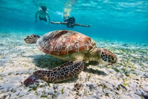 Lombok: Privat snorkling, Gili Trawangan, Gili Meno, Gili Air