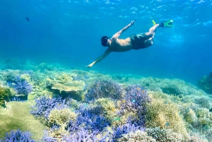 Lombok: Privat snorkling, Gili Trawangan, Gili Meno, Gili Air