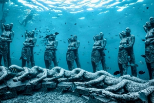 Lombok: Privat snorkling, Gili Trawangan, Gili Meno, Gili Air