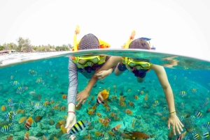 Lombok: Privat snorkling, Gili Trawangan, Gili Meno, Gili Air
