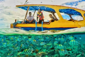 Lombok: Privat snorkling, Gili Trawangan, Gili Meno, Gili Air