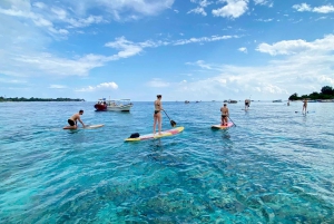 Lombok: Privat snorkling, Gili Trawangan, Gili Meno, Gili Air