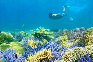 Lombok: Privat snorkling, Gili Trawangan, Gili Meno, Gili Air