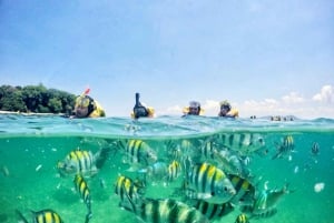 Lombok: Privat snorkling, Gili Trawangan, Gili Meno, Gili Air