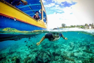 Lombok: Privat snorkling, Gili Trawangan, Gili Meno, Gili Air