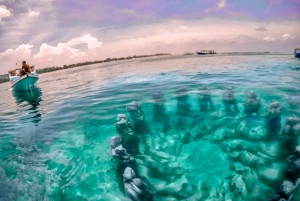 Lombok: Privat snorkling, Gili Trawangan, Gili Meno, Gili Air