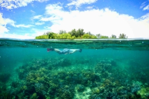 Lombok: Privat snorkling, Gili Trawangan, Gili Meno, Gili Air