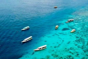Lombok: Privat snorkling, Gili Trawangan, Gili Meno, Gili Air