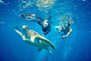 Lombok: Privat snorkling, Gili Trawangan, Gili Meno, Gili Air