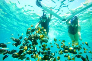 Lombok: Privat snorkling, Gili Trawangan, Gili Meno, Gili Air