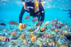 Lombok: Privat snorkling, Gili Trawangan, Gili Meno, Gili Air