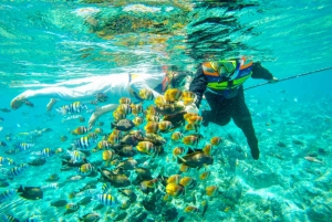 Lombok: Privat snorkling, Gili Trawangan, Gili Meno, Gili Air