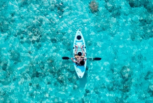 Lombok: Privat snorkling, Gili Trawangan, Gili Meno, Gili Air