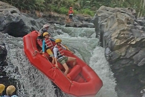 Ломбок: рафтинг и водопад Бенанг-Келамб с обедом