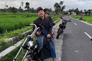Lombok: Scootertur med lokal guide