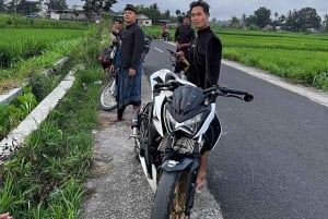 Lombok: Scootertur med lokal guide