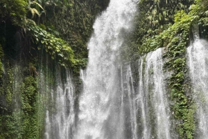 Lombok: Sendang Gile und Tiu Kelep Wasserfall Tour