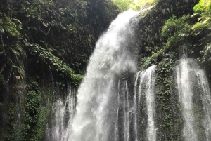 Lombok: Sendang Gile und Tiu Kelep Wasserfall Tour
