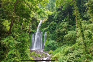 Lombok: Sendang Gile und Tiu Kelep Wasserfall Tour