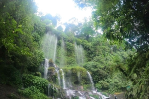 Lombok Solo-Gruppenabenteuer: Dschungelwanderung & Wasserfälle