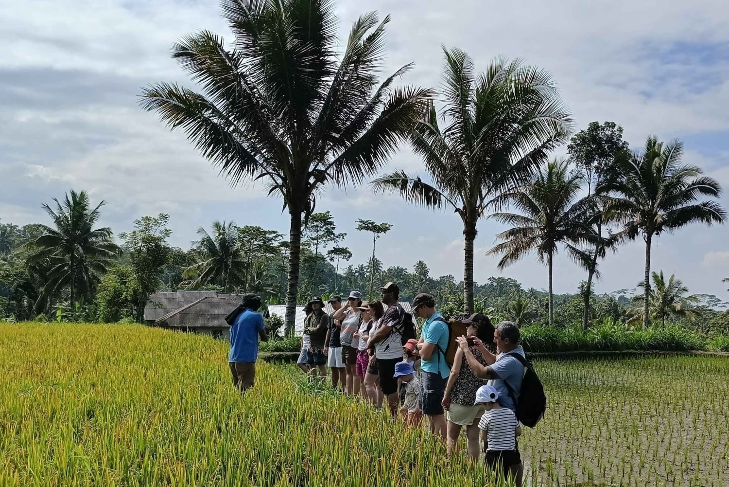 Lombok: Guidad tur till byn Tetebatu och risfälten