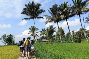 Lombok: Guidad tur till byn Tetebatu och risfälten