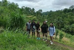 Lombok: Tetebatu Walking Tour with Monkey Forest & Waterfall