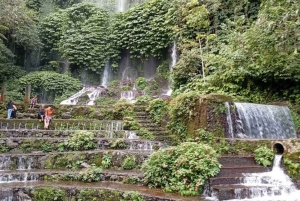 Lombok: Waterfalls, Coffee Plantation & Sasak Village Tour