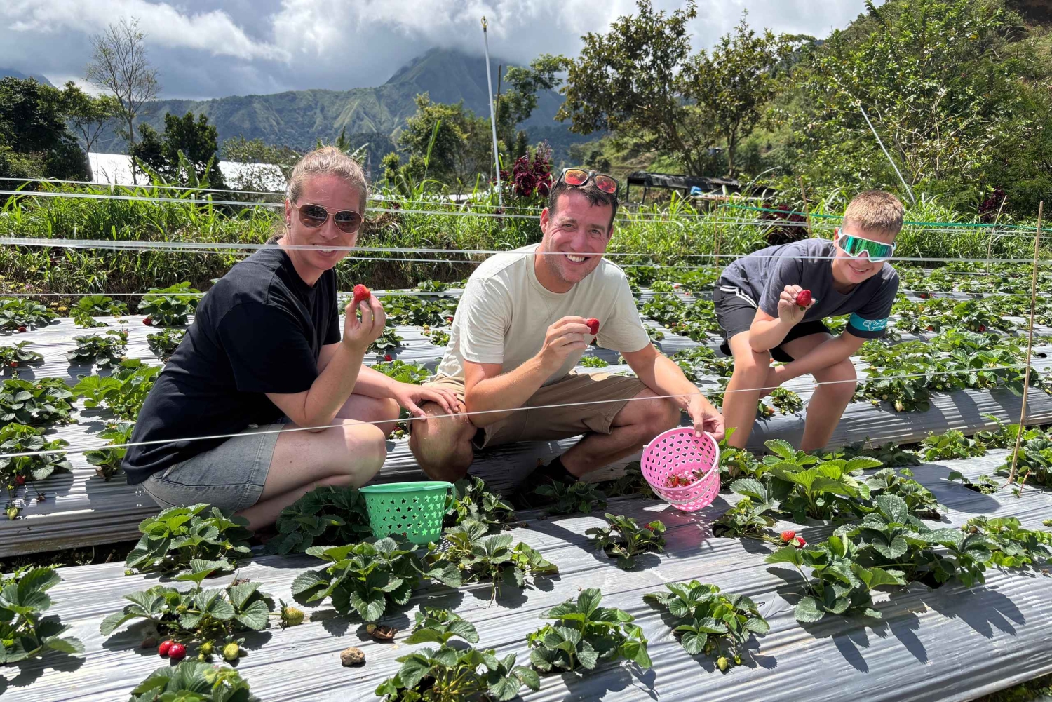 Lombok: Waterfalls, Strawberry Harvest, and Hike Tour
