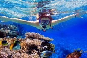 Lovina/Bali: Dolphin Watching Tour, Swimming and Snorkeling