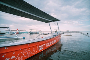 Lovina/Bali: Dolphin Watching Tour, Swimming and Snorkeling