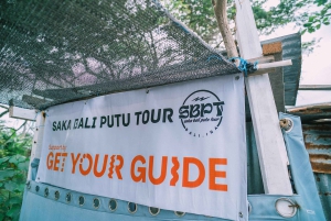 Lovina/Bali: Dolphin Watching Tour, Swimming and Snorkeling