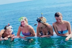 Lovina/Bali: Excursión de avistamiento de delfines, natación y snorkel